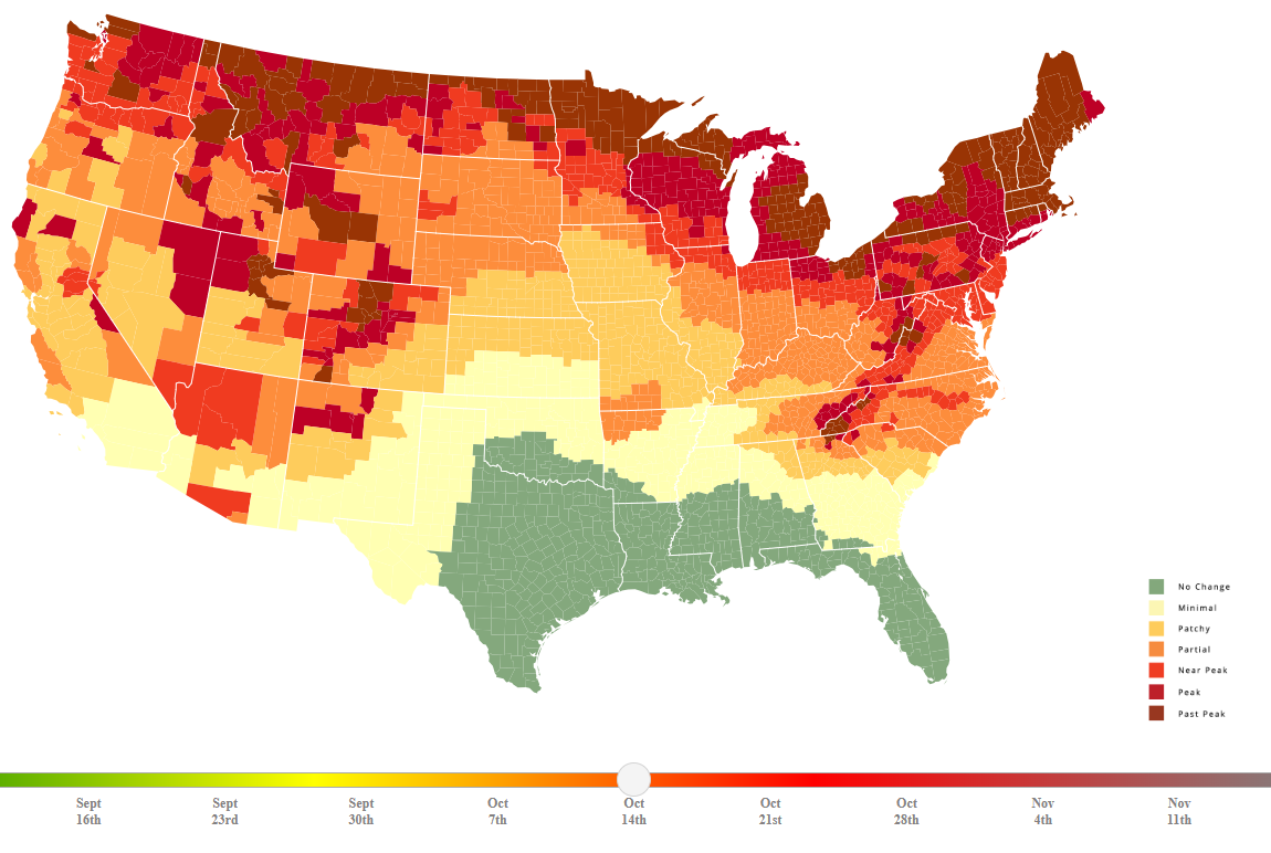 Fall Foliage Map from SmokyMountains.com